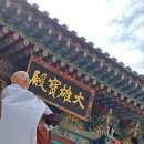 수희네