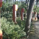 현정누리 이미지