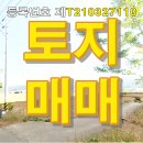 우리땅공인중개사사무소 이미지