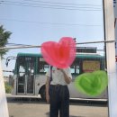 8벌 후기 (토크린넨팬츠,컬러실켓티,바네사블라우스, 보이셔츠 등등) 이미지