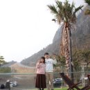 차정농장 이미지