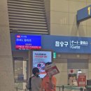 제주보홀 | [필리핀] 보홀 항공권 특가 예약 인천 보홀 제주항공 직항 후기 가격