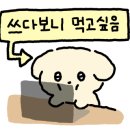 둥둥수산 이미지