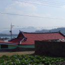 노화읍-5 이미지