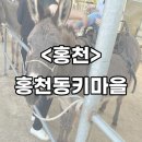 농장마을 | [홍천] 아이들과 하루 종일 뛰어놀기 좋은 홍천 체험농장, 동키마을 방문 후기