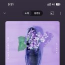 모찌아이스크림 이미지