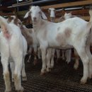 삼태농장 이미지