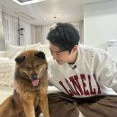 전진농장 이미지