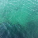 바다해호텔 이미지