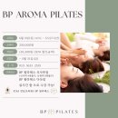 비피113