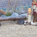 석달열흘가리 이미지