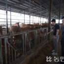 전주김제완주축협 섬유질사료공장 | 전주김제완주축협, 조사료사업 1등…TMF사료로 새로운 도전나서 [26년 8월 31일 뉴스]