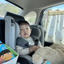 무쏘 천리점 내 실내놀이시설 | 국내여행 가볼 만한 곳 영덕 축산항 시포트리조트 / 주변 맛집 추천