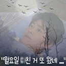 어제는우동 오늘은김밥 | 보영만두 오산 운암점 김밥 쫄면 우동 군만두 내돈내산 방문 후기