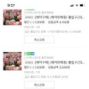 팜팜스토어 이미지