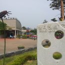 무주곤충박물관 이미지