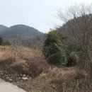 돌산읍사무소 이미지