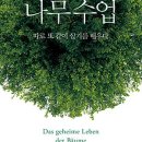 나무이발사