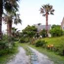 똘내미집 이미지