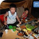 아잘리아그린 이미지