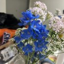 11215-자양2-868 | 인천원규스튜디오 웨딩촬영후기👰🤵‍♂️(로코코웨딩)