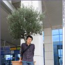 오스카호텔 이미지