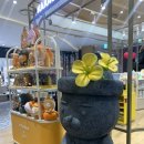 영숙목장 이미지