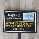 목련나무 수목이름표 안내판제작 - 친환경 우드사인제작 전문기업 나무공작소입니다. 이미지