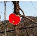 명은농장 이미지