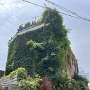 리케이온 | [영도 카페] 리케이온 - 영도 조용한 카페 디저트 맛집 내돈내산 후기