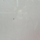 현대손세차 이미지