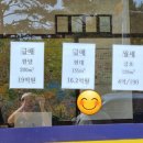 동아우성아파트.효자촌.시범단지 이미지