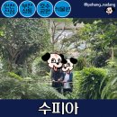 부천 호수공원식물원 수피아 상동호수공원: 부모님과 함께 방문 후기 입장료 카페