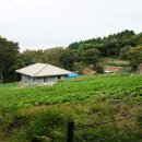 금산2 이미지
