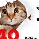 똥강아지 김해 강아지분양 고양이분양 이미지