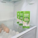 한끼밸런스 | 바쁜 아침 한 끼 해결✨ 일동후디스 하이프로틴밸런스 식물성고단백 아침식사대용 후기 🥛💚