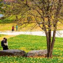 저수지목장 이미지