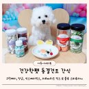 건강한펫 이미지