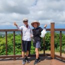 저지오름 | 저지오름 플로깅 행사후기