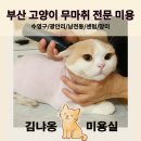 김냐옹 미용실 이미지