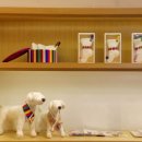 한국문화기획 이미지