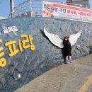 통영여행 필수코스 동피랑마을 주차장 최신정보 UPDATE ♥