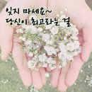 [11월 18일. 토] 직업소개소·아웃소싱 회사 창업 세미나 : 근로자 파견, 직업소개소, 도급, 경비, 시설관리, 미화(청소) 등 -49차 이미지