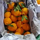 훈이청과 이미지