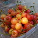 중선농장 이미지