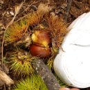 금호농장 이미지