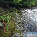 줄리에뜨 펜션 이미지