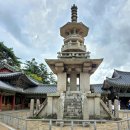 21호선 구도로 | [경주 여행] 주말 불국사 솔직 방문 후기: 눈치싸움 필수인 주차 꿀팁부터 다보탑·석가탑 포토존 생생...