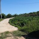 숲뒤농장 이미지