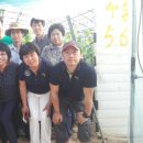 공주농장 이미지